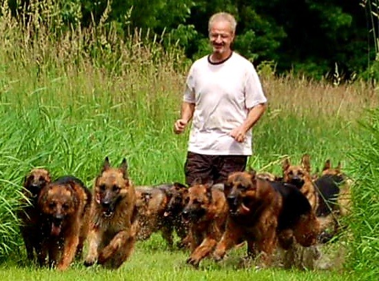 Steve Patch